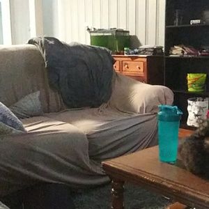 Meet your Posher, Kyle